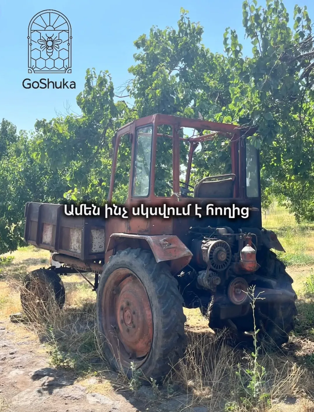 Տրակտորը դաշտում